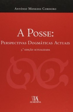 A posse: perspectivas dogmáticas actuais