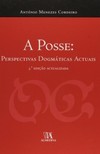 A posse: perspectivas dogmáticas actuais