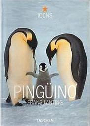 Pingüino