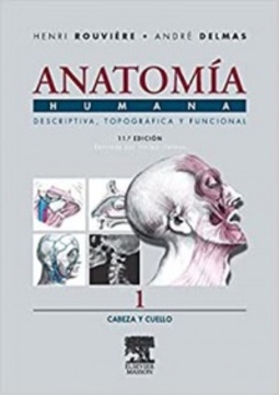 Anatomia humana 1 - cabeza y cuello (11ª ed.) (Henri Rouviere #1)