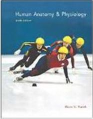 Human Anatomy & Physiology - Importado