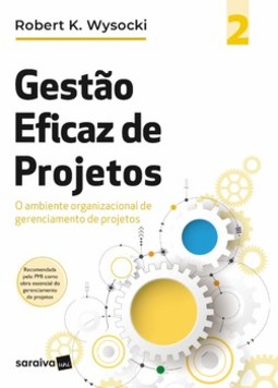 Gestão eficaz de projetos: o ambiente organizacional de gerenciamento de projetos