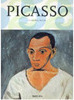 Picasso - Importado