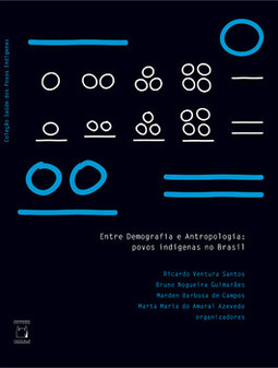Entre demografia e antropologia: povos indígenas no Brasil