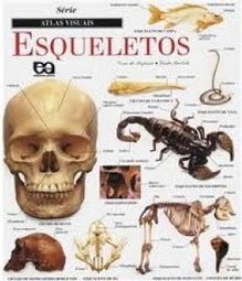 Esqueletos