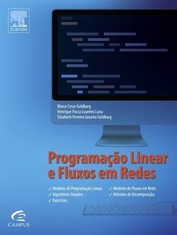 Programação linear e fluxos em redes