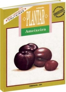 Ameixeira