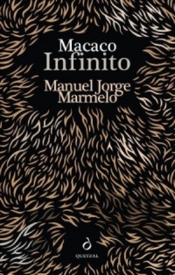 Macaco Infinito