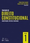 Tratado de direito constitucional: Constituição, política e sociedade