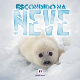 Escondido na neve