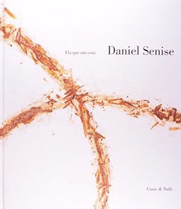 Daniel Senise: Ela que Não Está