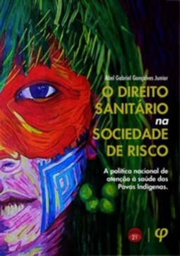 O direito sanitário na sociedade de risco