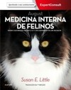 August - Medicina interna de felinos