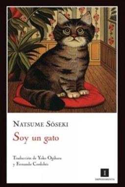 Soy un gato