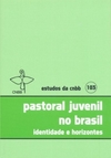Pastoral juvenil no Brasil: identidade e horizontes