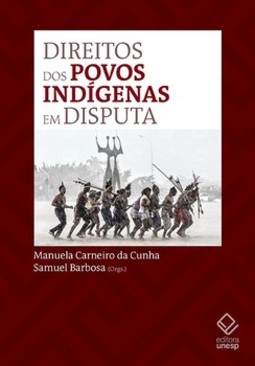 Direitos dos povos indígenas em disputa