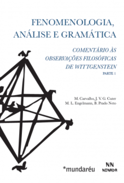 Fenomenologia, análise e gramática: comentário às observações filosóficas de Wittgenstein - Parte 1