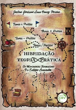 Hibridação teoria x prática: os movimentos formativos do estágio curricular