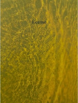Écume