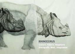 RHINOCERUS: GRAVURA, PALAVRA, IMAGINARIO