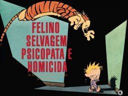 CALVIN E HAROLDO