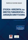 Eficácia horizontal dos direitos fundamentais e jurisdição constitucional