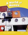 A world of homes: Level 6