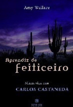 Aprendiz de Feiticeiro