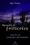 Aprendiz de Feiticeiro