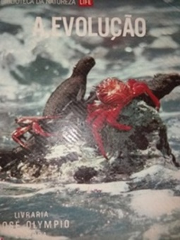 A Evolução