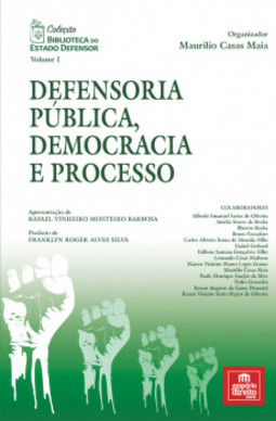 Defensoria pública, democracia e processo