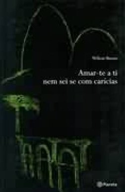 Amar-te a Ti Nem Sei se com Carícias