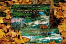 Fotografia Com Poesia