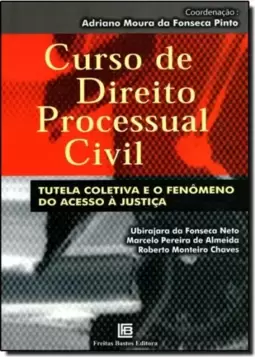 TUTELA COLETIVA E O FENOMENO DO ACESSO A JUSTICA