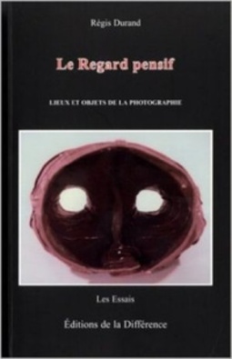 Le Regard pensif (Les Essais)