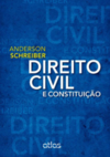 Direito civil e constituição