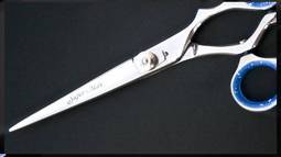 Cabeleireiro Profissional Volume 2