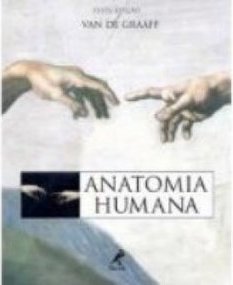 Anatomia humana