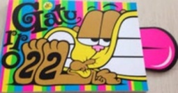 Gaturro 22
