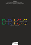 International legal aspects of BRICS