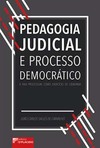Pedagogia judicial e processo democrático: a fala processual como exercício de cidadania