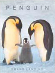 Penguin - IMPORTADO