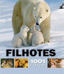 Filhotes