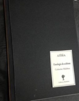 Ontologia do acidente (Anima)