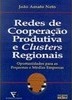Redes de Cooperação Produtiva e Clusters Regionais