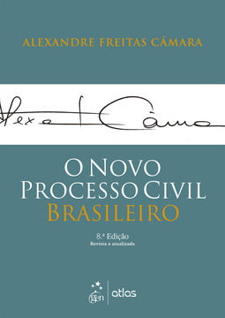 O novo processo civil brasileiro