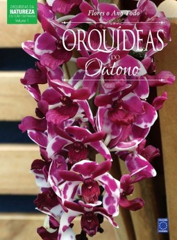 Flores o ano todo: orquídeas do outono