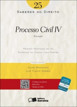 Processo civil IV: execução