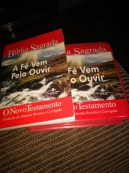 O Novo Testamento (Bíblia Sagrada)
