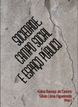 Sociedade, Campo Social e Espaço Público